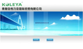 考力亚国际贸易客户展示 携手创想信息网络，共筑数字化贸易新未来